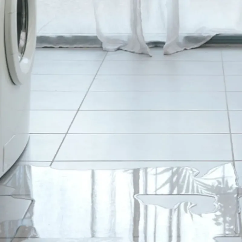 Appliance Leak Cleanup in Raymondville, TX