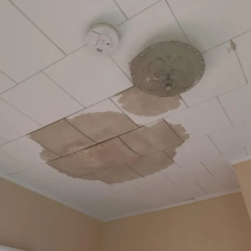 Ceiling Water Damage Repair in Raymondville, TX
